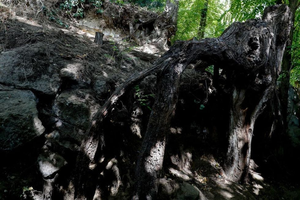 \u200bGeneral view of the alleged spot where Dutch painter Vincent Van Gogh painted his last canvas before his mysterious death from a gunshot wound