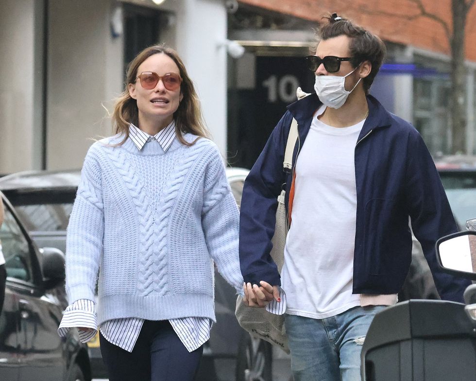 \u200bHarry Styles and Olivia Wilde
