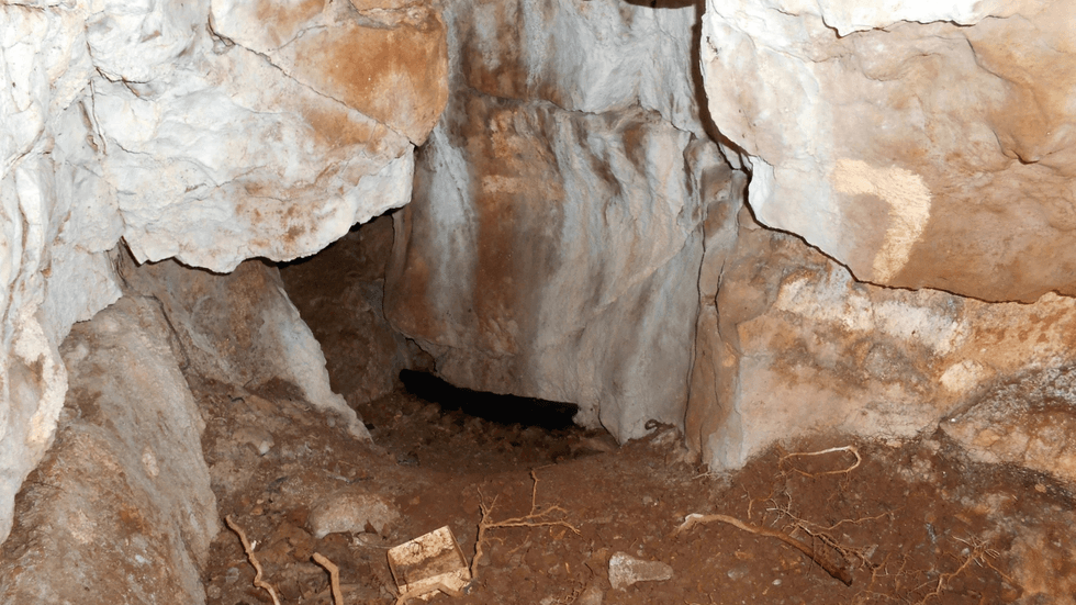 \u200bHeaning Wood Bone Cave near Great Urswick