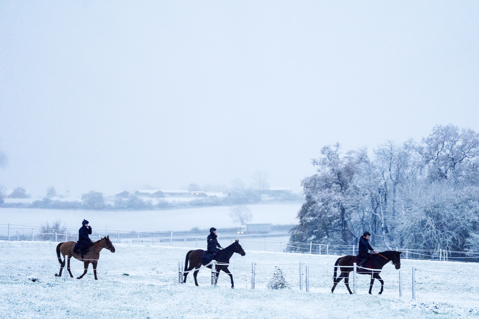 \u200bHorses on the gallops at Sam Drinkwater's Granary Stables, Strensham, Worcestershire
