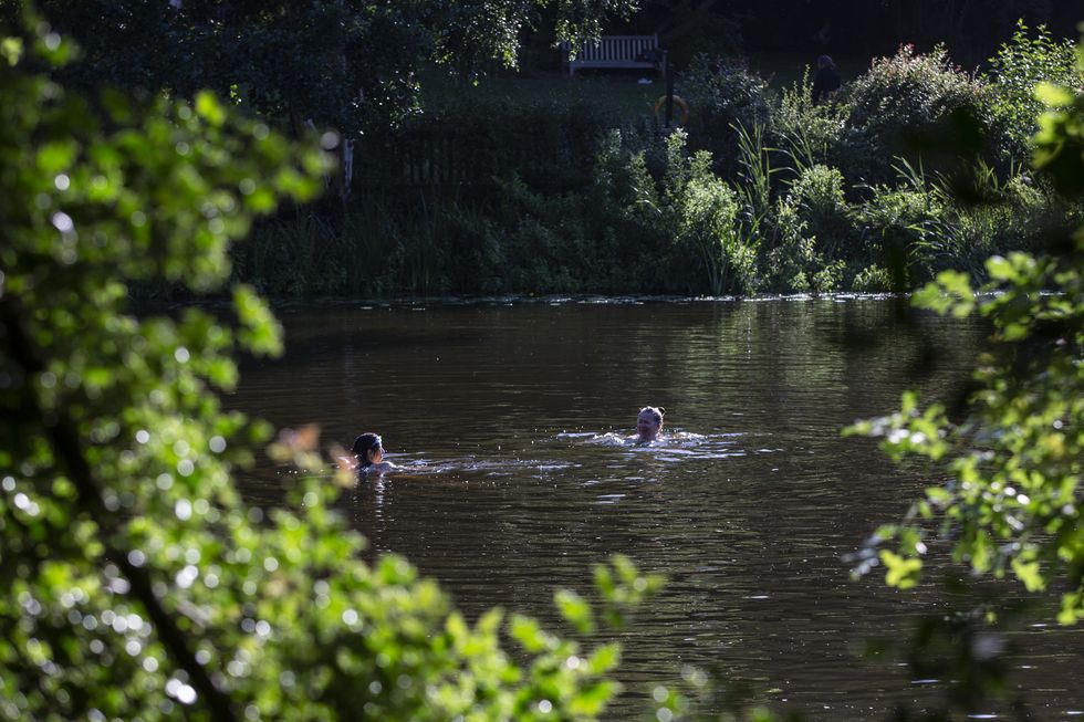 \u200bKenwood Ladies\u2019 Pond