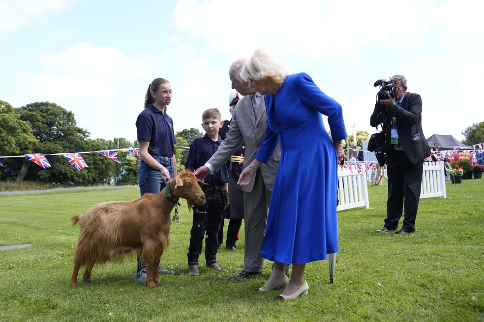 \u200bKing Charles III and Queen Camilla viewing rare Golden Guernsey Goat