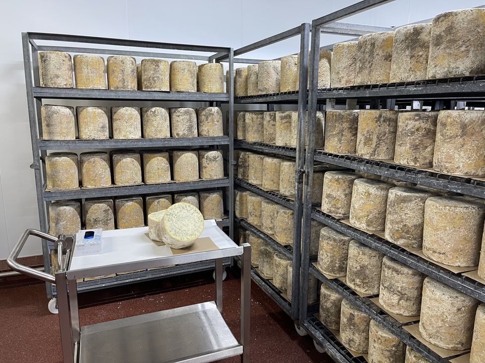 \u200bLeicestershire dairy selling 60% of stilton during festive season says Britain needs to buy more cheese in the rest of year as sales fall