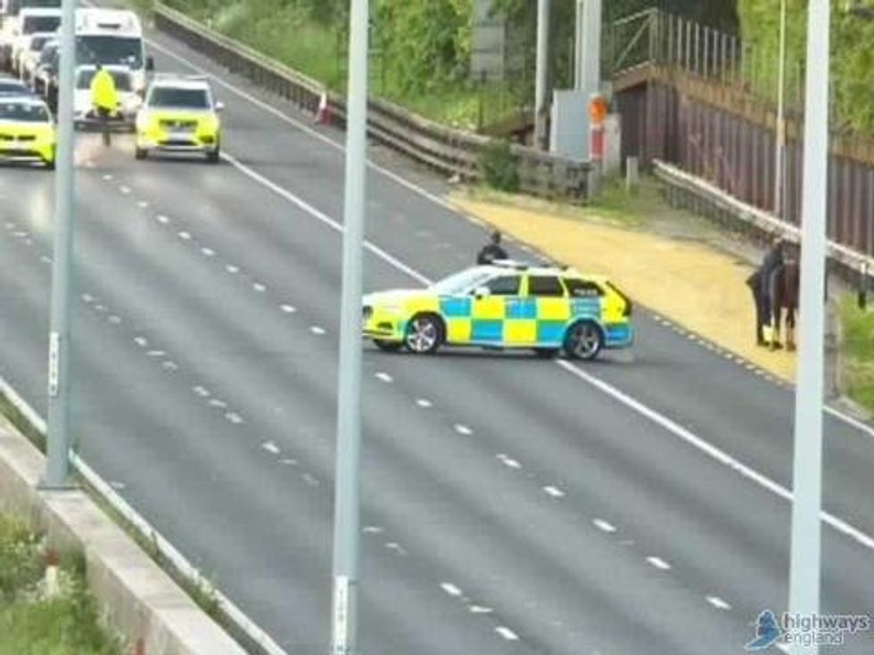 \u200bNational Highways has warned that drivers could face some delays after animals were caught on the motorway