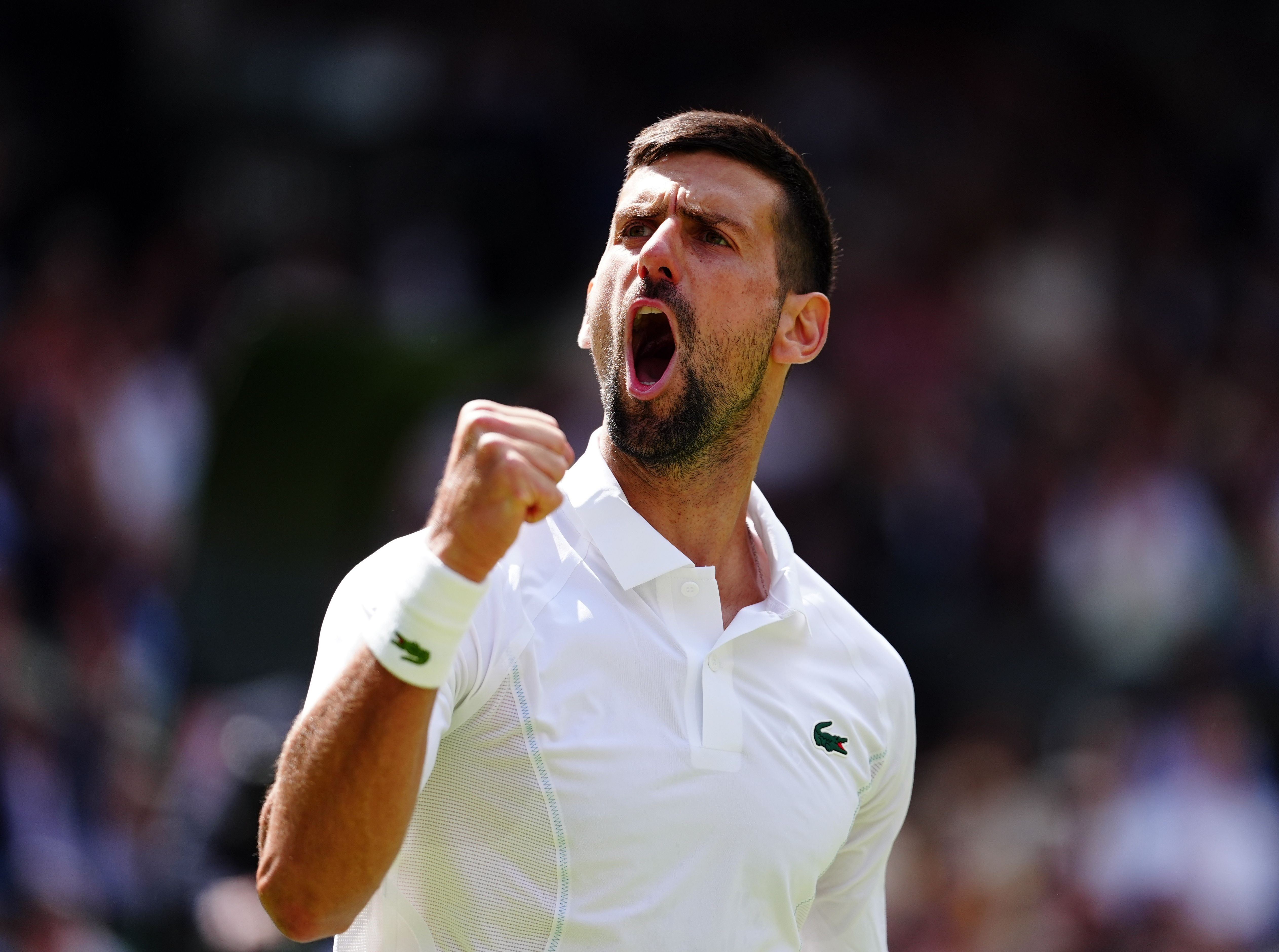 \u200bnovak djokovic punches the air at wimbledon