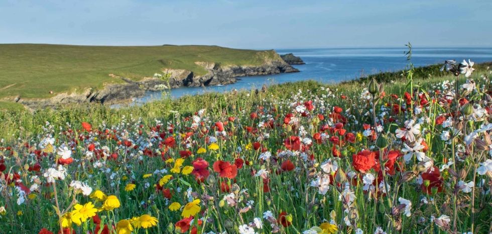 \u200bPentire Headland Walk, Cornwall