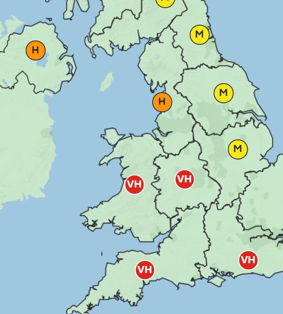 \u200bPollen forecast for April 7