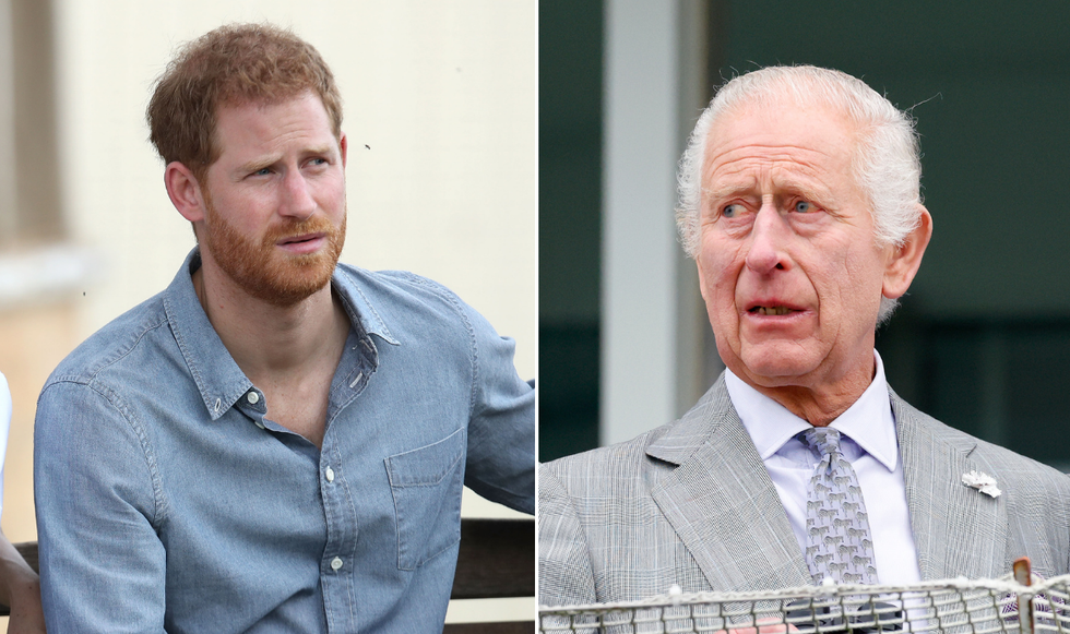 \u200bPrince Harry and King Charles