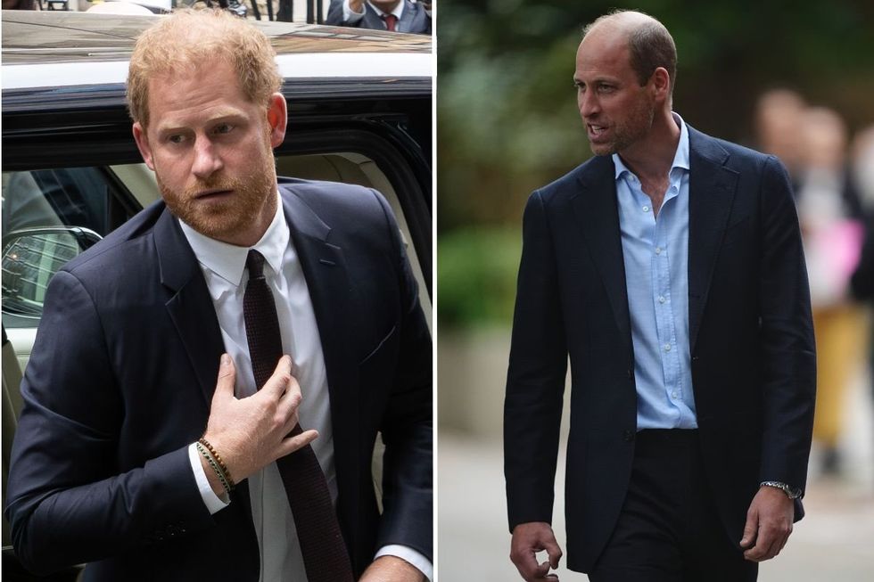 \u200bPrince Harry and Prince William