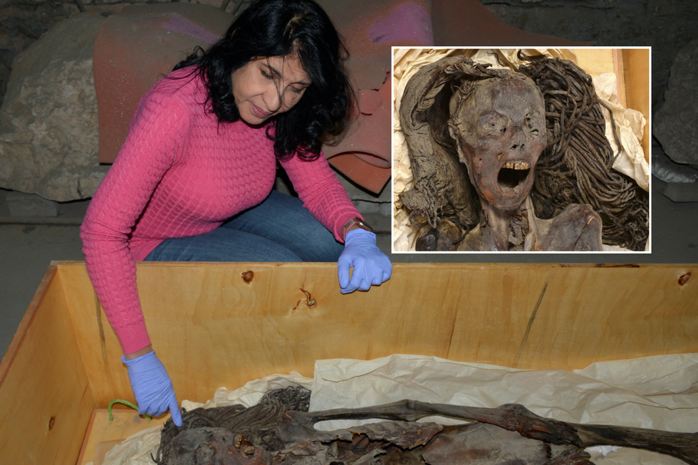 \u200bProfessor Sahar Saleem examines the mummy