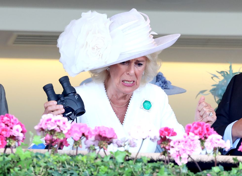 \u200bQueen Camilla