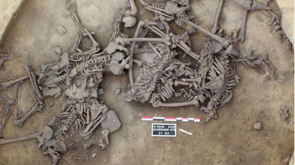 \u200bResearchers used advanced isotopic techniques