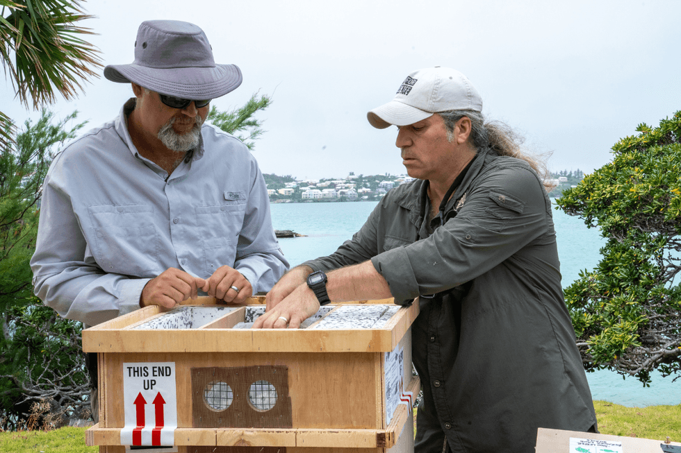 \u200bScientists working on the rout of snails