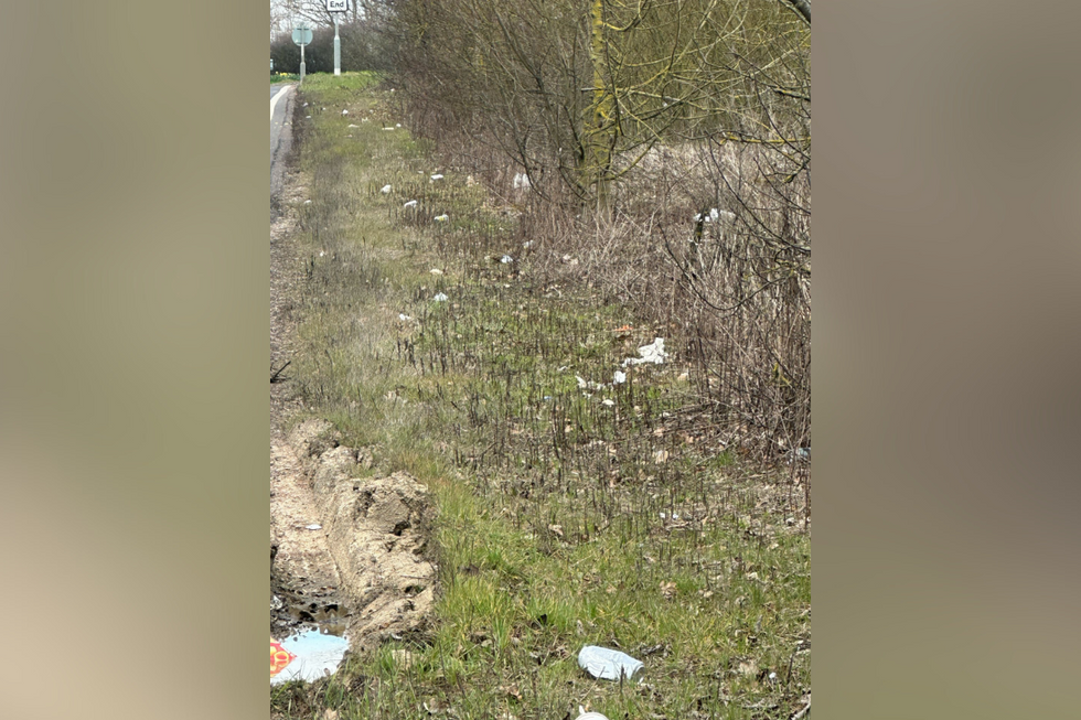\u200bSome of the rubbish left on the side of the road