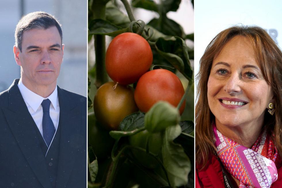 \u200bSpanish PM Pedro S\u00e1nchez and French politician S\u00e9gol\u00e8ne Royal have clashed over tomatoes