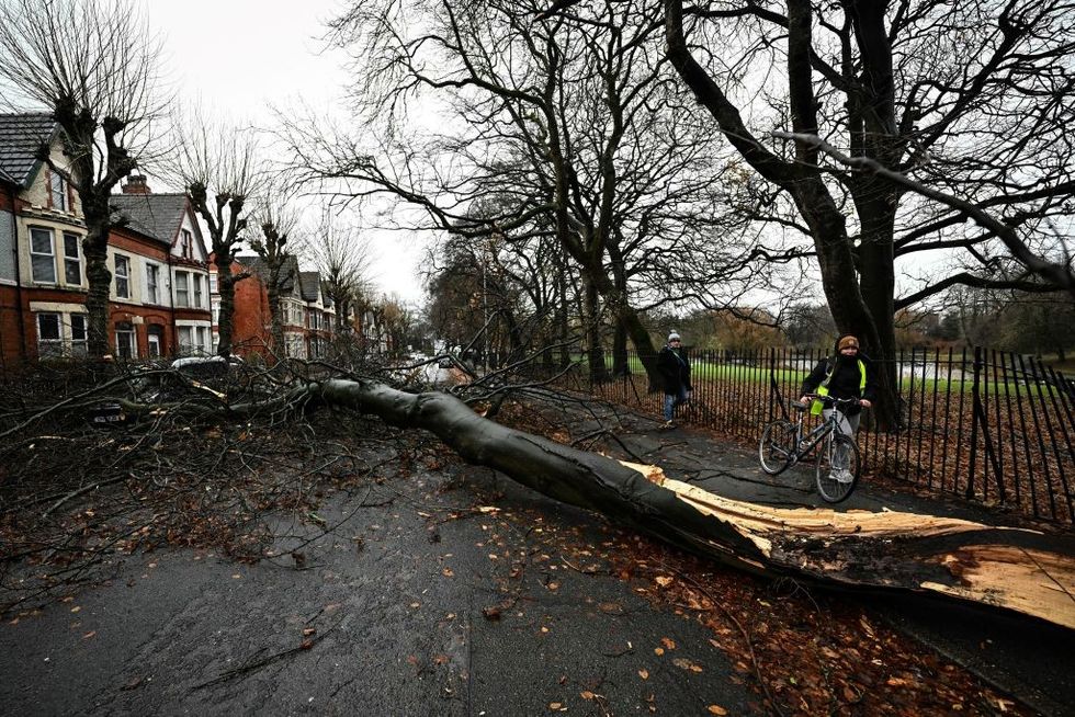 \u200bStorm Darragh caused trees to fall down in Liverpool