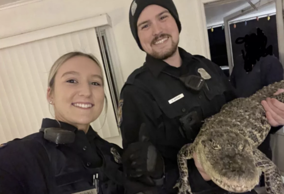 \u200bThe alligator was reportedly "very friendly