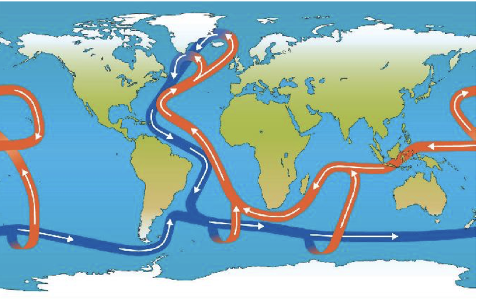 \u200bThe Atlantic Meridional Overturning Circulation system
