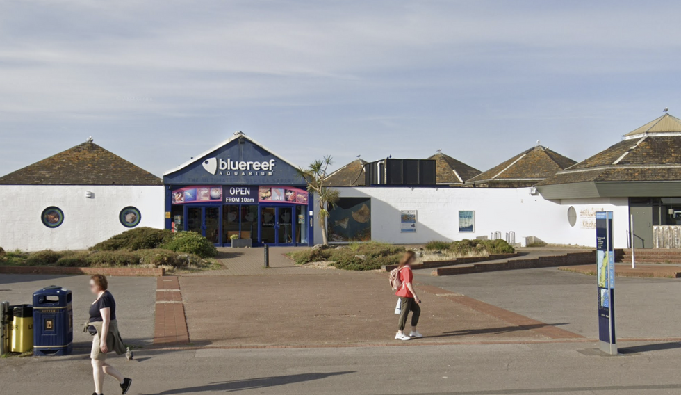 \u200bThe Blue Reef Aquarium has been closed