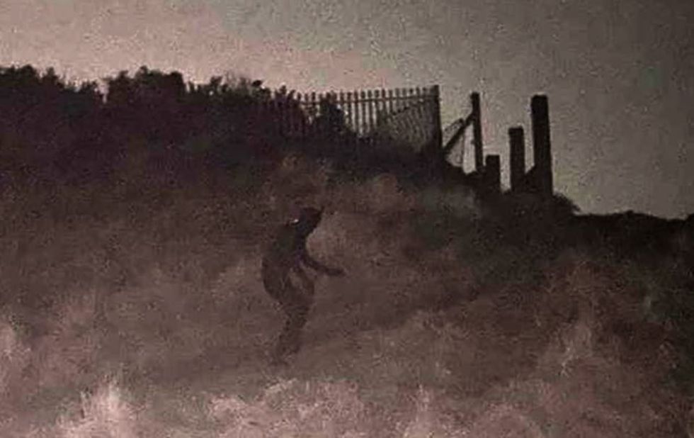 \u200bThe cat-like figure has been terrorising locals