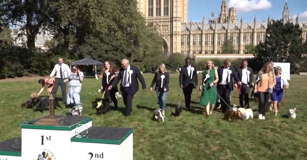 \u200bThe competition, running since 1992, is organised by The Dog\u2019s Trust and The Kennel Club