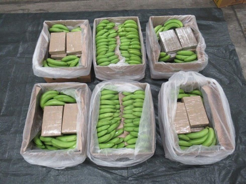 \u200bThe container was transporting a large consignment of bananas into Europe from South America