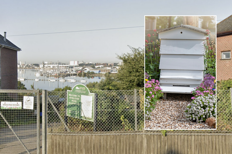\u200bThe couple have been told to remove the hives from the site (file pic)