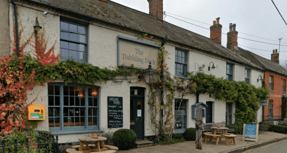 \u200bThe Dabbling Duck