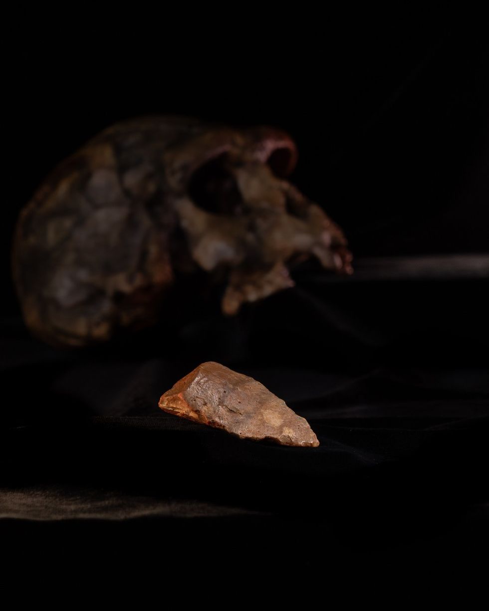 \u200bThe discoveries could be the key to unravelling the mystery of 'hobbit' human