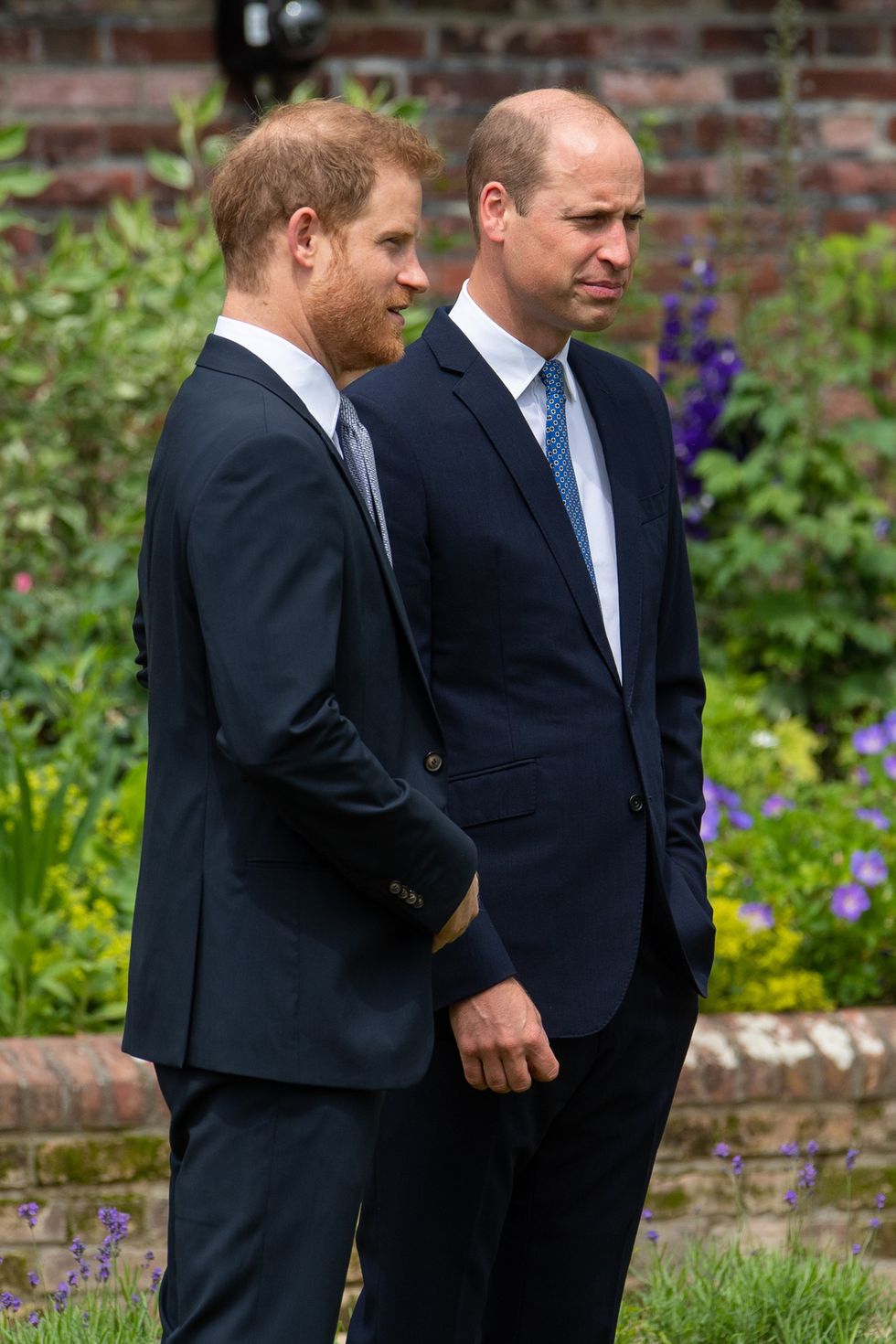 \u200bThe Duke of Sussex and the Prince of Wale