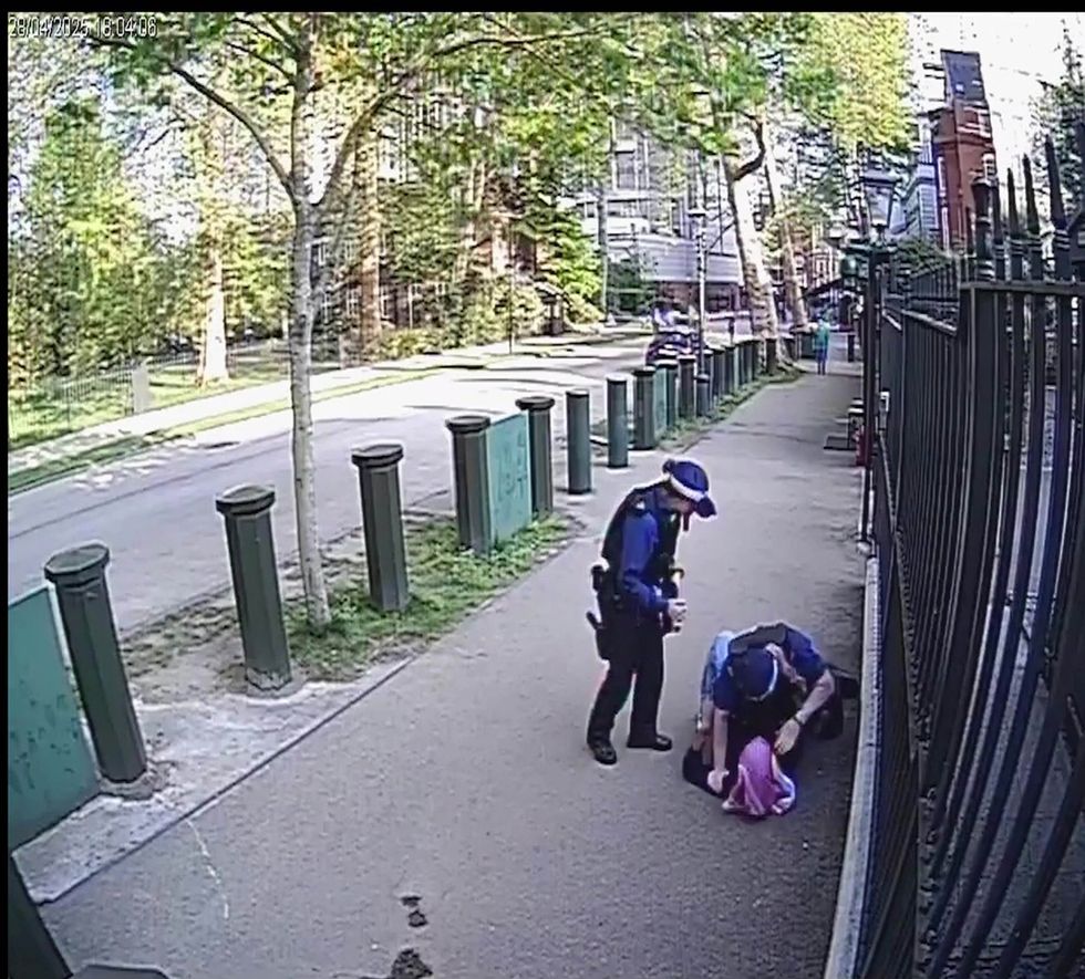 \u200bThe failed asylum seeker was tackled by officers from the Met's Parliamentary and Diplomatic Protection Command