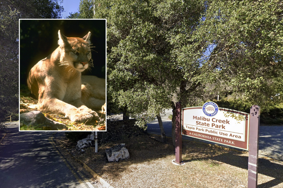 \u200bThe incident took place at the Tapia Park area