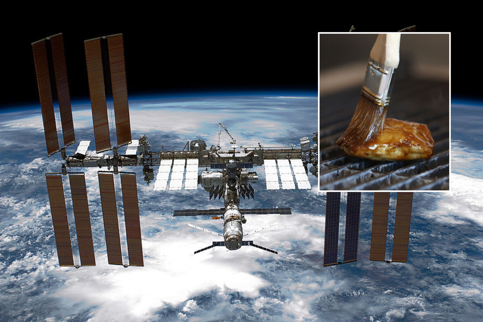 \u200bThe International Space Station could be seeing lab grown meat