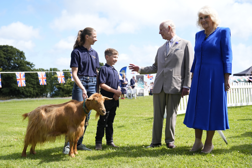 \u200bThe King and Queen Camilla meet the Royal Golden Guernsey Goat
