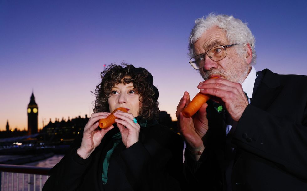 \u200bThe London Vegetable Orchestra