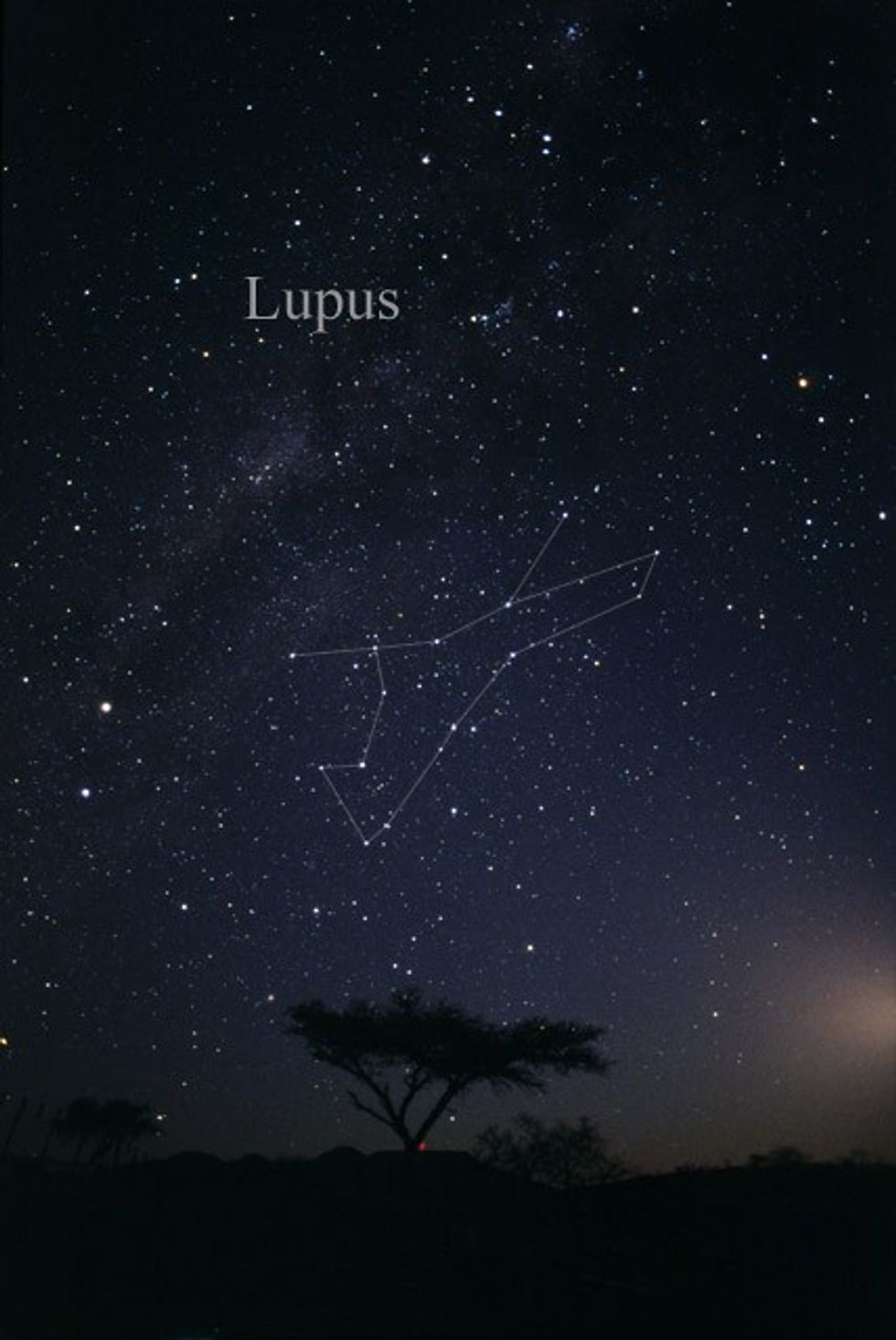 \u200bThe Lupus constellation