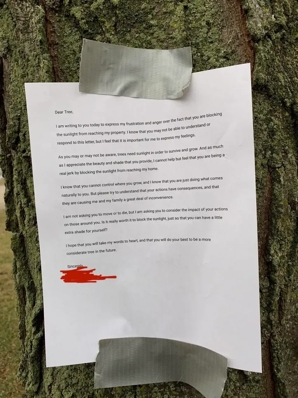 \u200bThe man stuck his letter on the tree