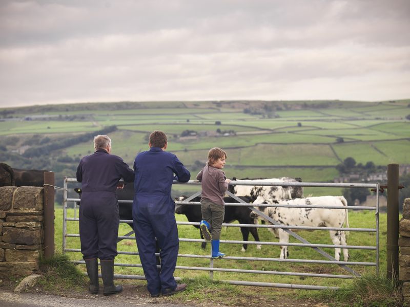 \u200bThe new EU-UK food standards deal has raised concerns for officials