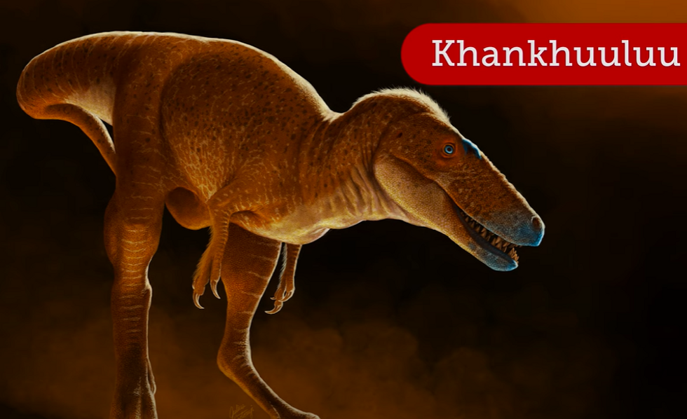 \u200bThe new species has been declared as Khankhuuluu mongoliensis
