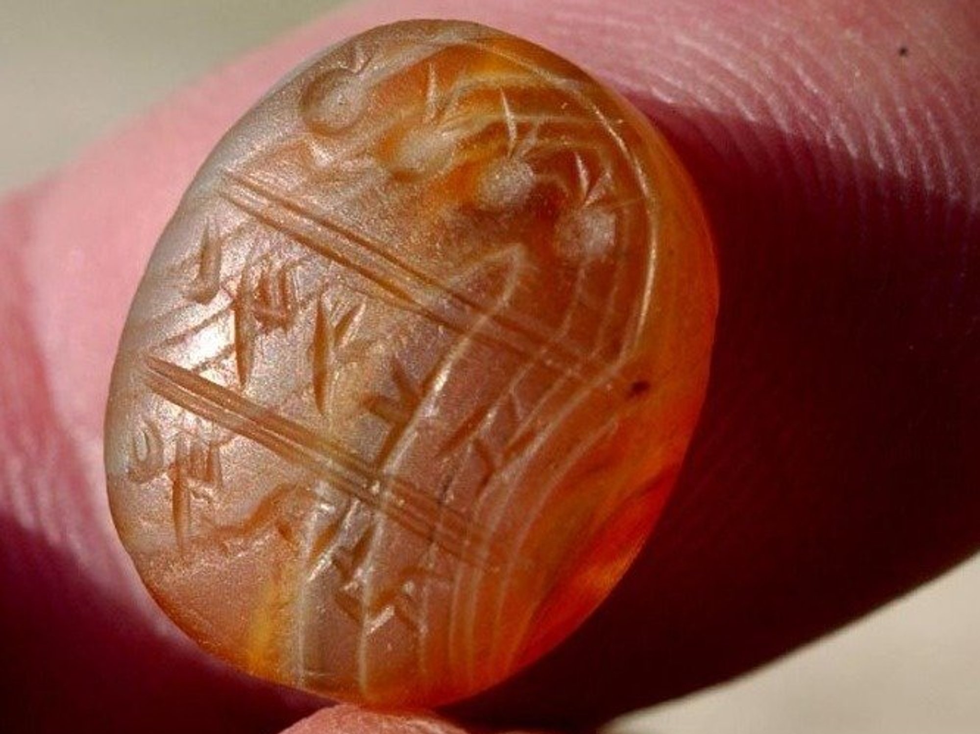 \u200bThe seal was translated