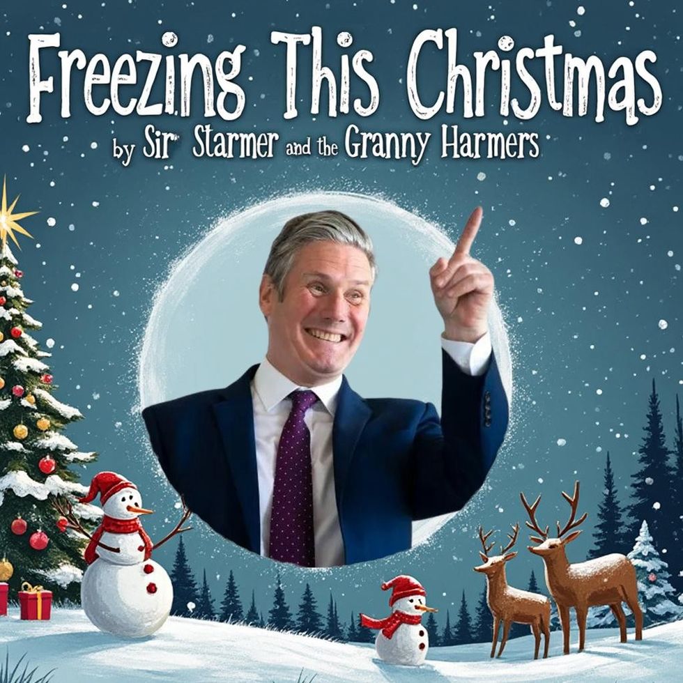 \u200bThe single by Sir Starmer and the Granny Harmers earned \u00a31,500