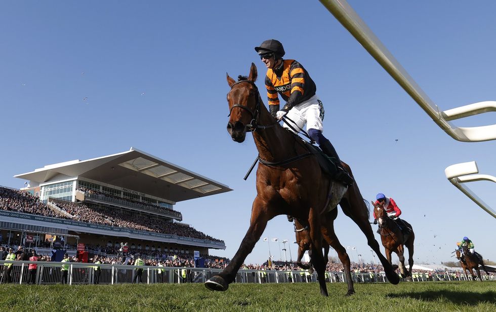 \u200bThe withdrawal proved particularly cruel for jockey Tom Bellamy, who had been announced as Nick Rockett's new rider barely 24 hours earlier following Patrick Mullins' surprise decision to switch to Grangeclare West