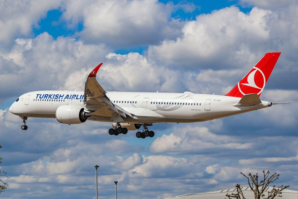 \u200bTurkish Airlines (file pic)