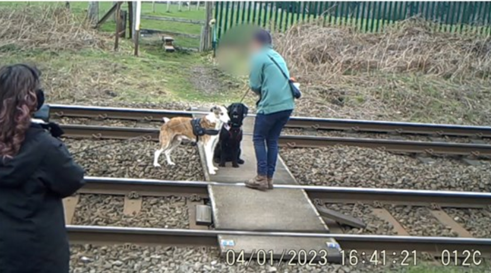 \u200bTwo dog walkers forcing their dogs to pose for photos
