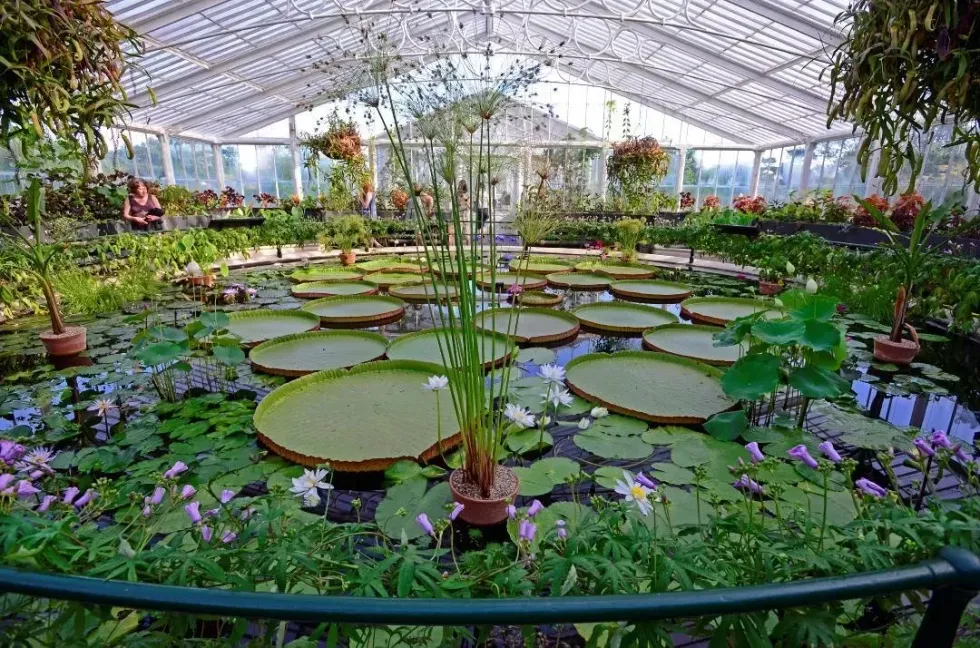 \u200bWaterlily House, Kew Gardens