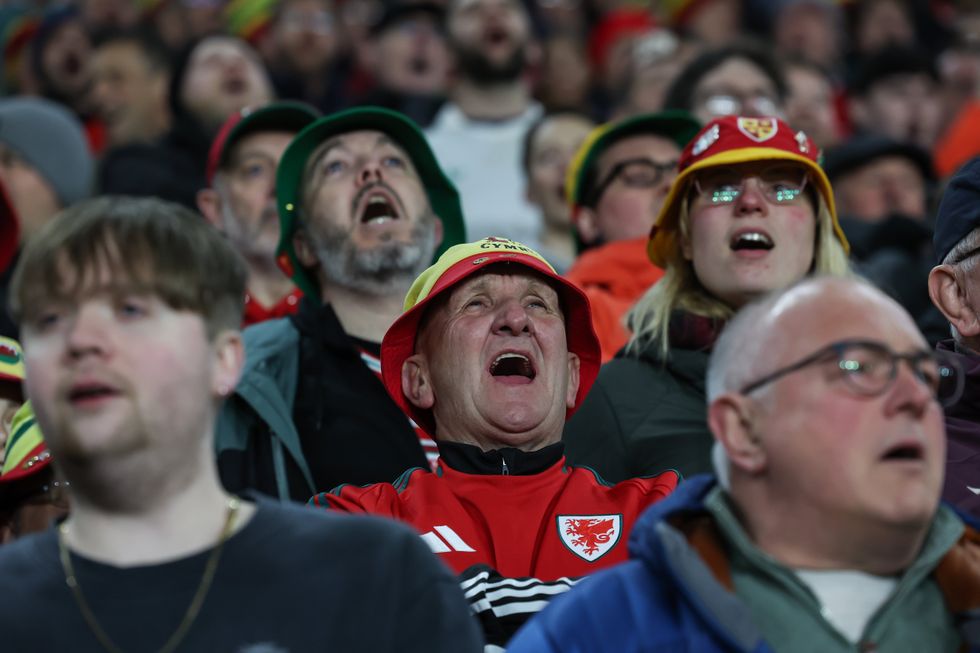 \u200bWelsh supporters
