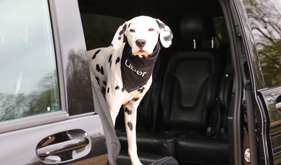 Uber Pet has been launched