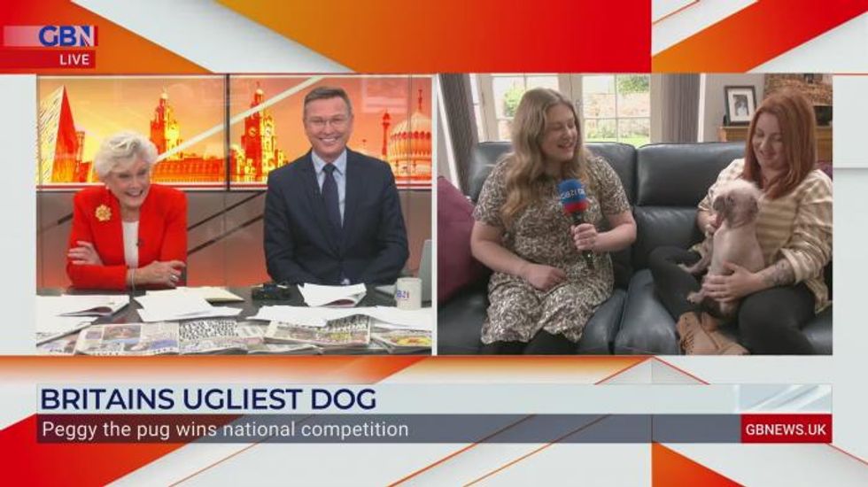Dog wins nationwide competition to be crowned UK's UGLIEST dog