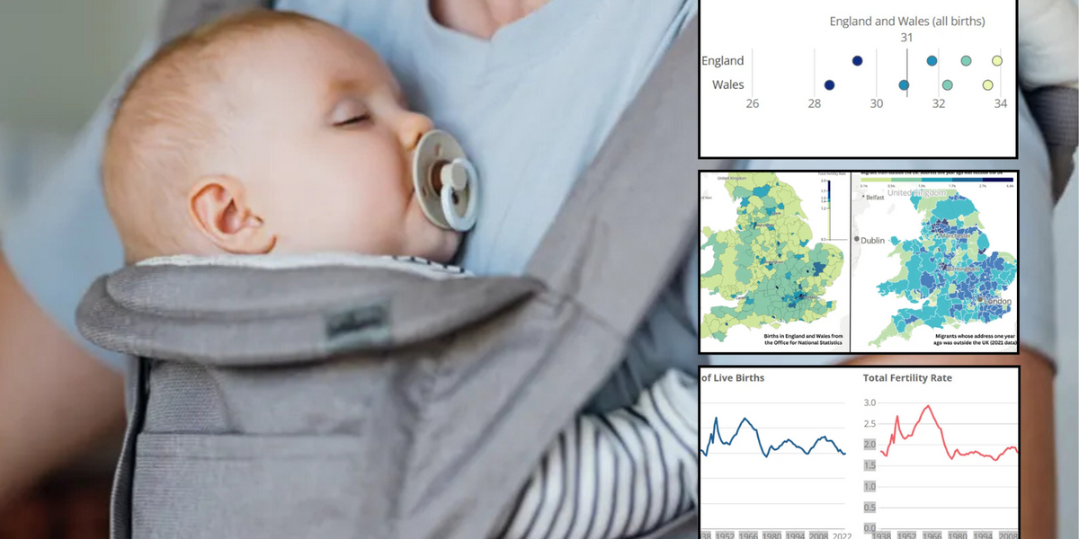 NextImg:REVEALED: The true reason behind Britain's baby bust - and why the UK birth rate is plummeting