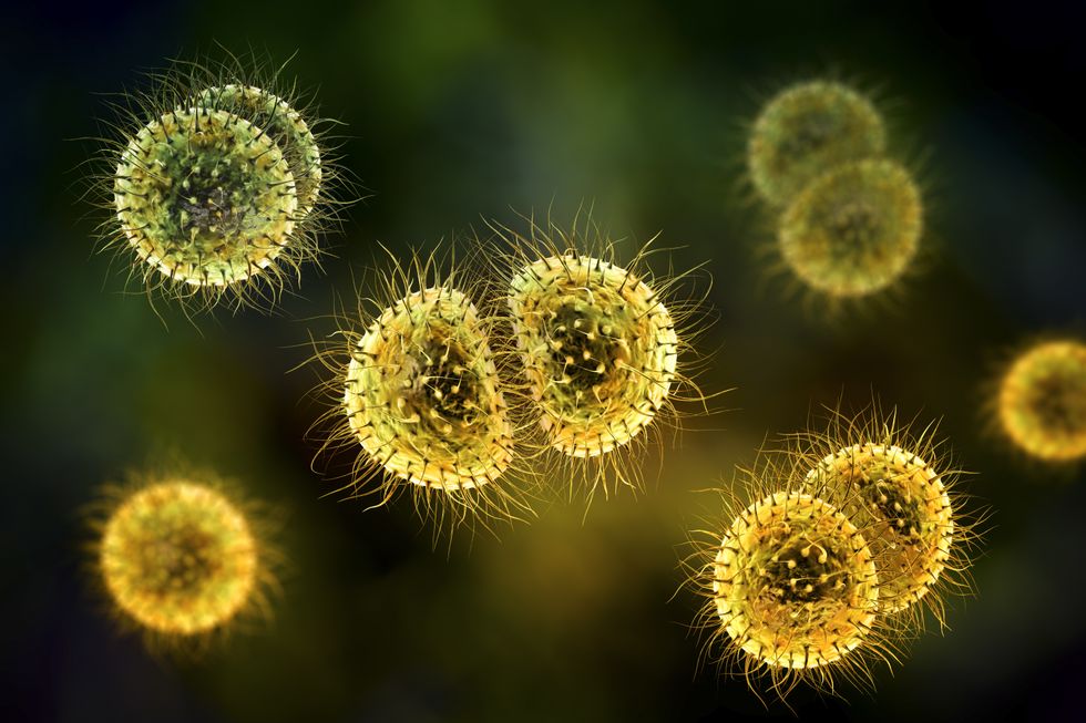 UK close to eradicating 'fatal' meningitis-causing bacterial disease